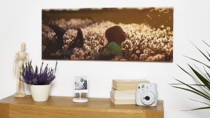 Canvas wraps