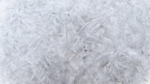 Image sourced from Pexels