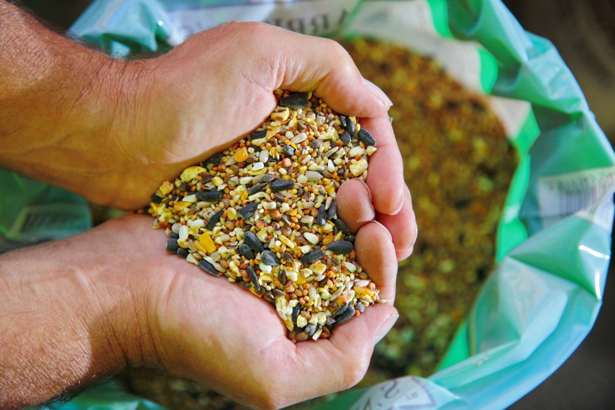 Commercial Photography by Peter Rogers Photographic